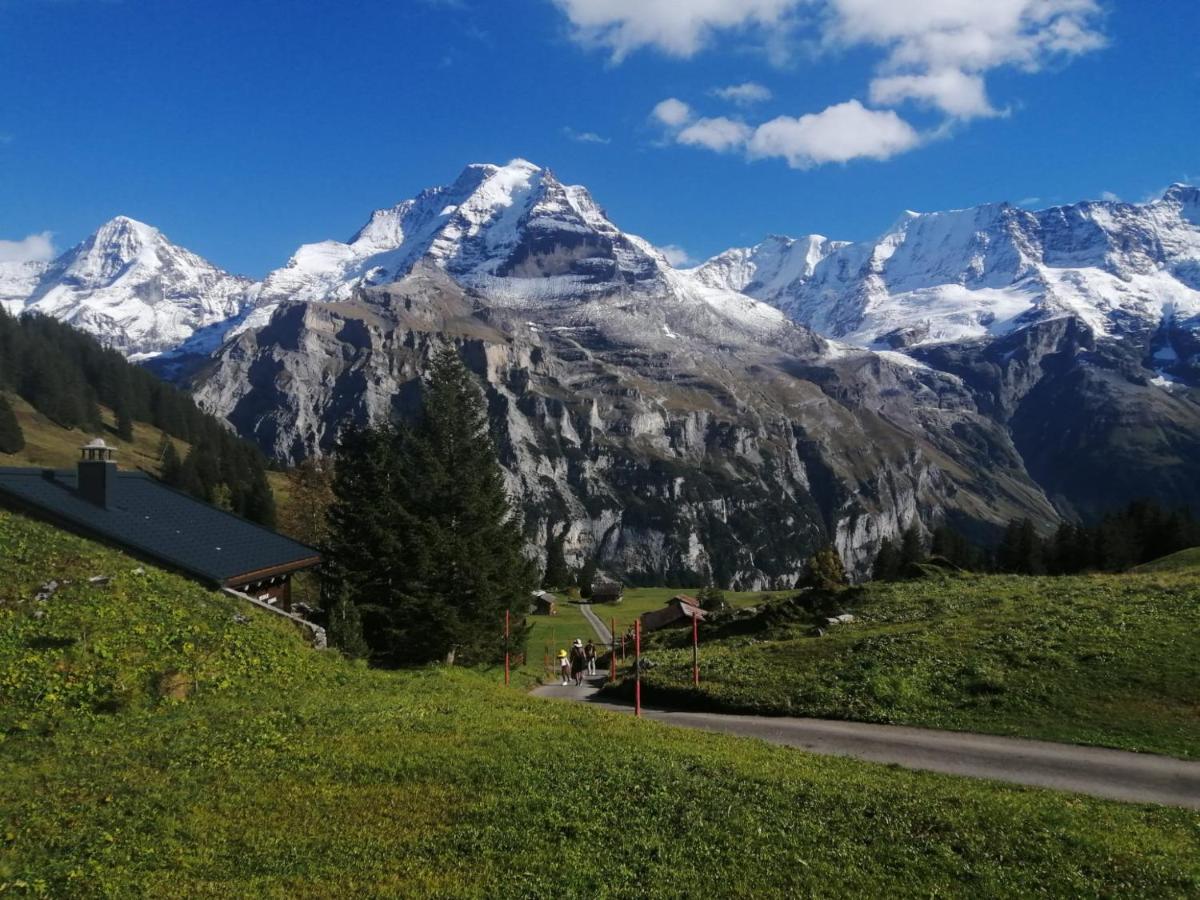 Hotel Restaurant Sonnenberg Mürren Dış mekan fotoğraf