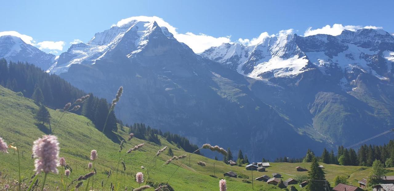 Hotel Restaurant Sonnenberg Mürren Dış mekan fotoğraf