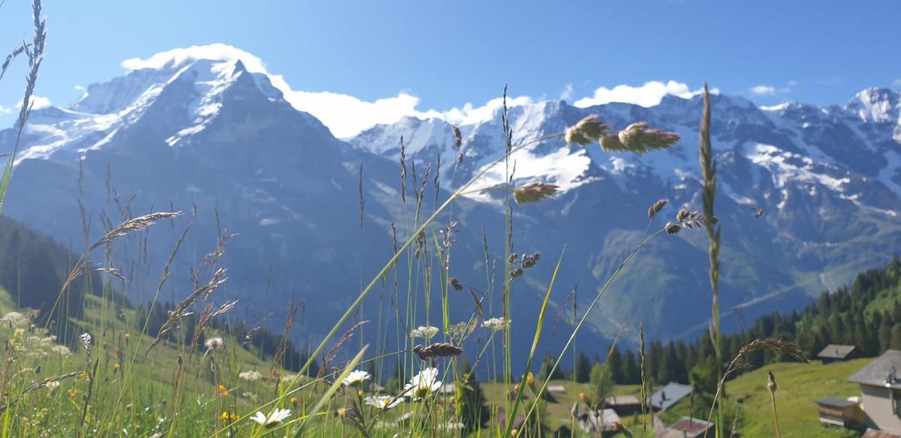 Hotel Restaurant Sonnenberg Mürren Dış mekan fotoğraf