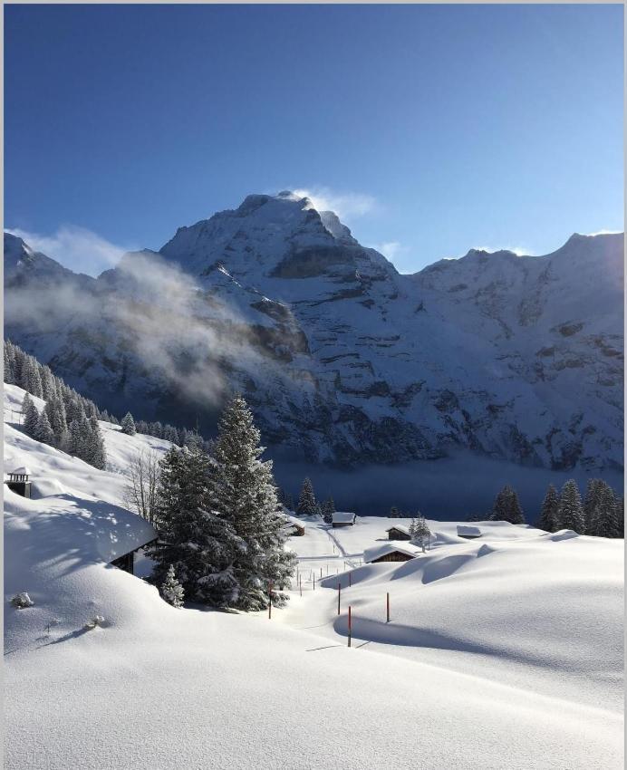 Hotel Restaurant Sonnenberg Mürren Dış mekan fotoğraf