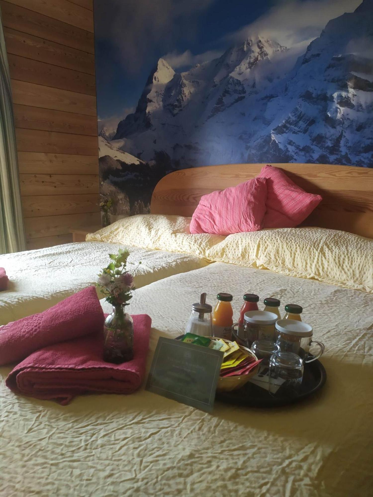 Hotel Restaurant Sonnenberg Mürren Dış mekan fotoğraf